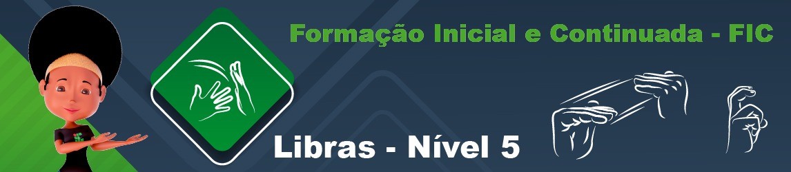 FIC Libras V